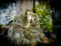 lubelskie smętarze - ul. Lipowa