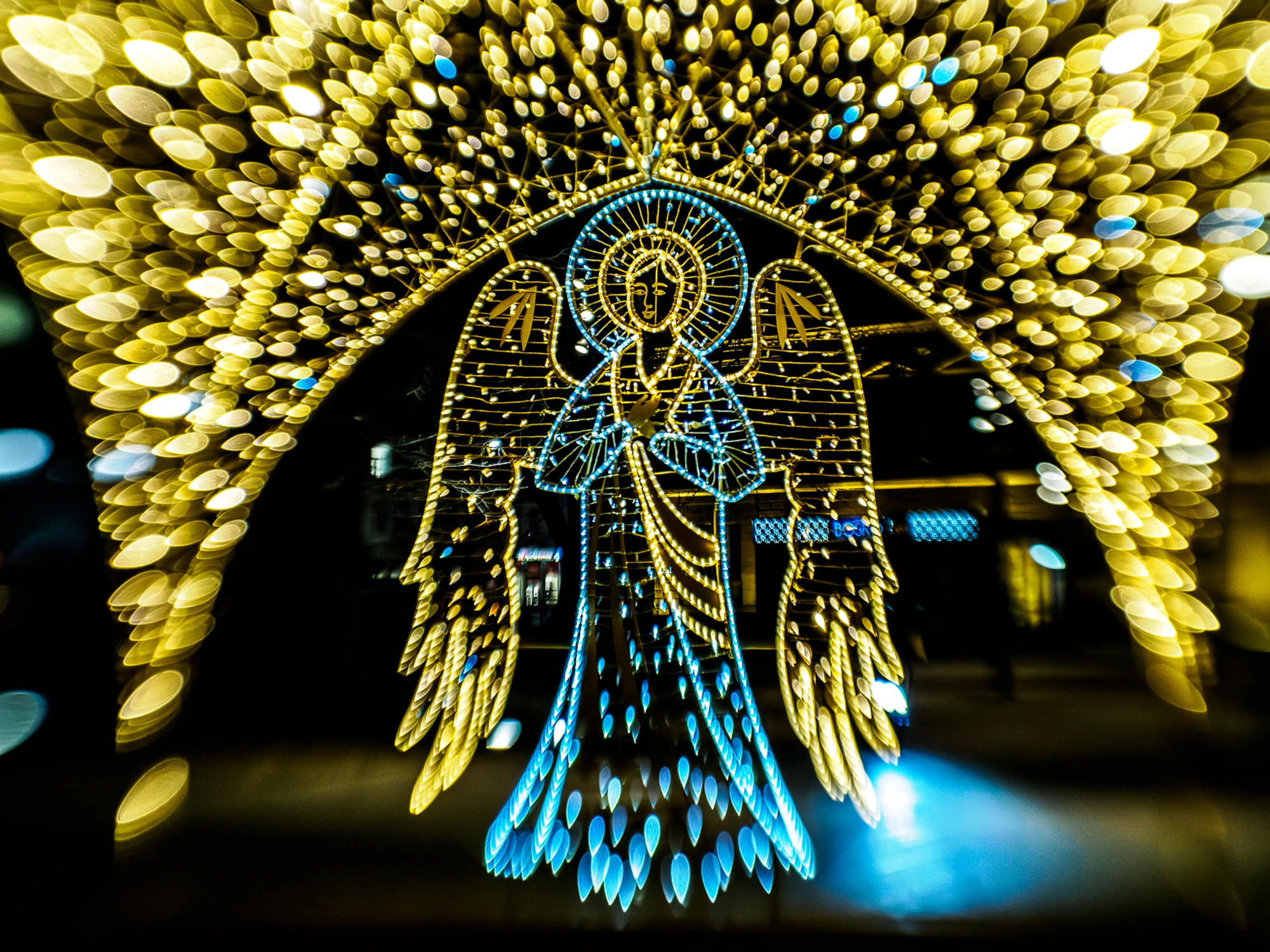 Lublin w świątecznej scenerii - Plac Litewski