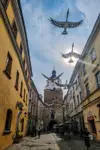 Lublin - żurawie na Bramowej IV