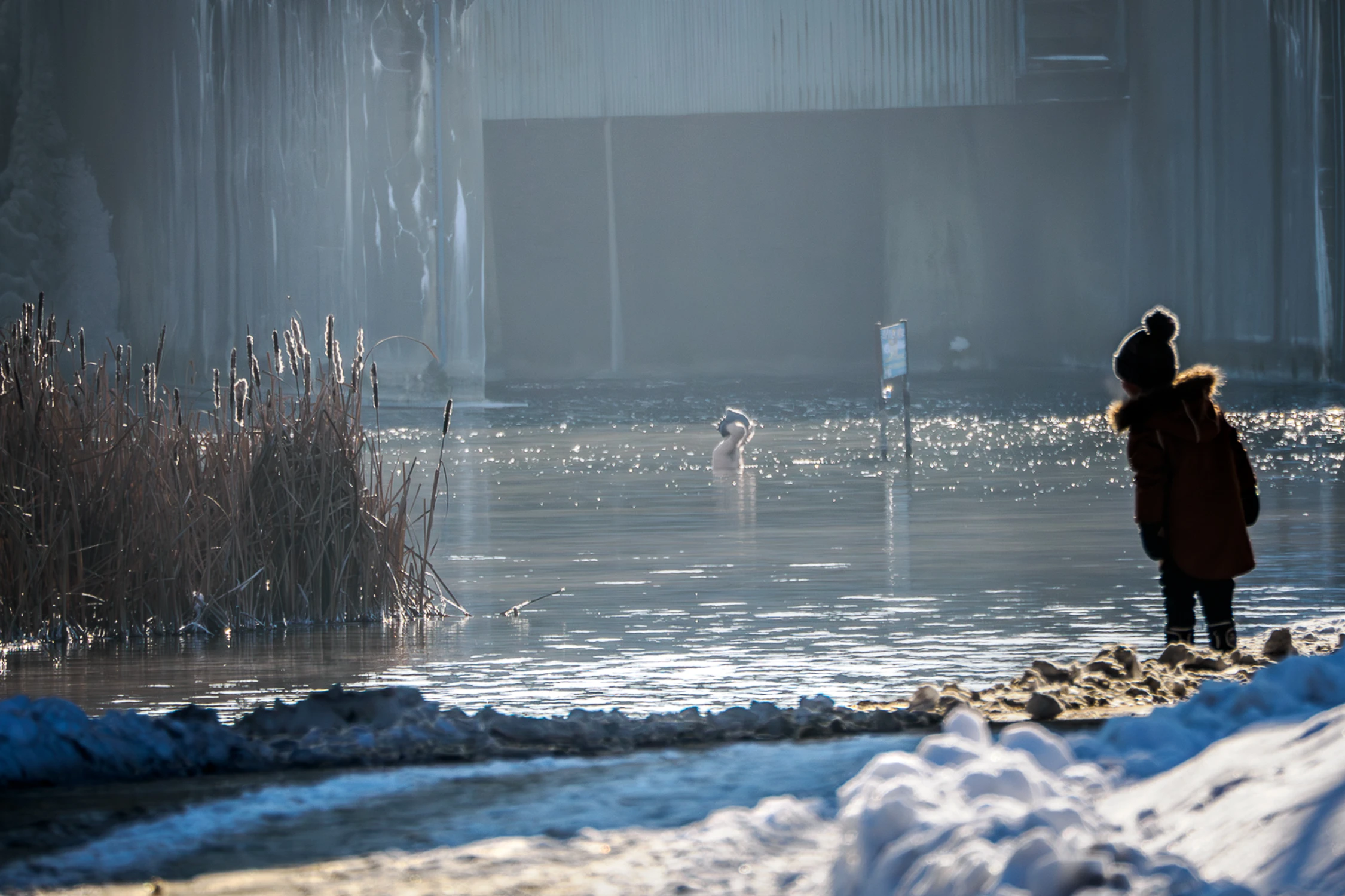 Lublin - nad Zalewem Zemborzyckim