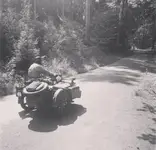 jendo skojarzenie