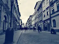 Ptaki nawet go nie widzą 