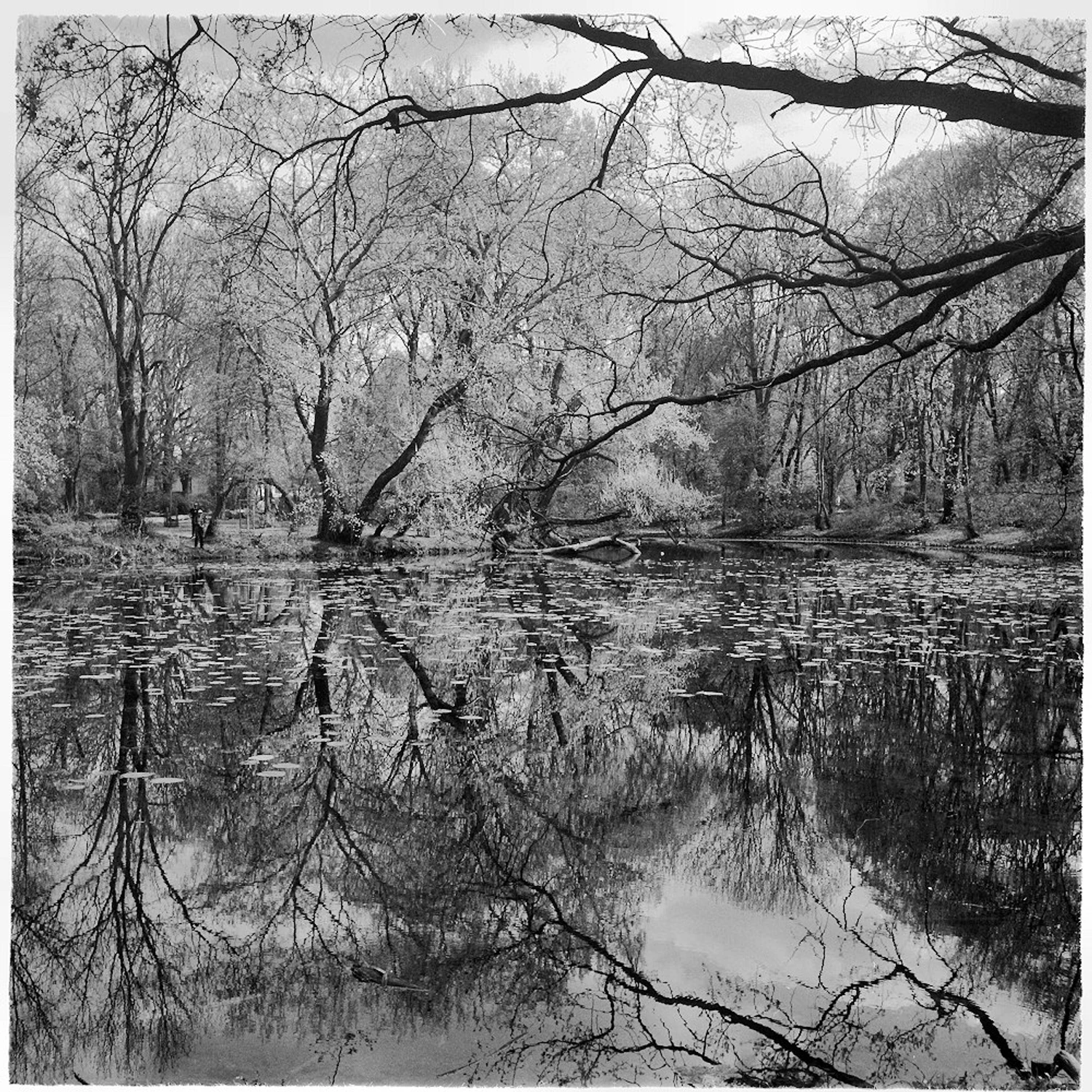 wiosna w "Skaryszaku"