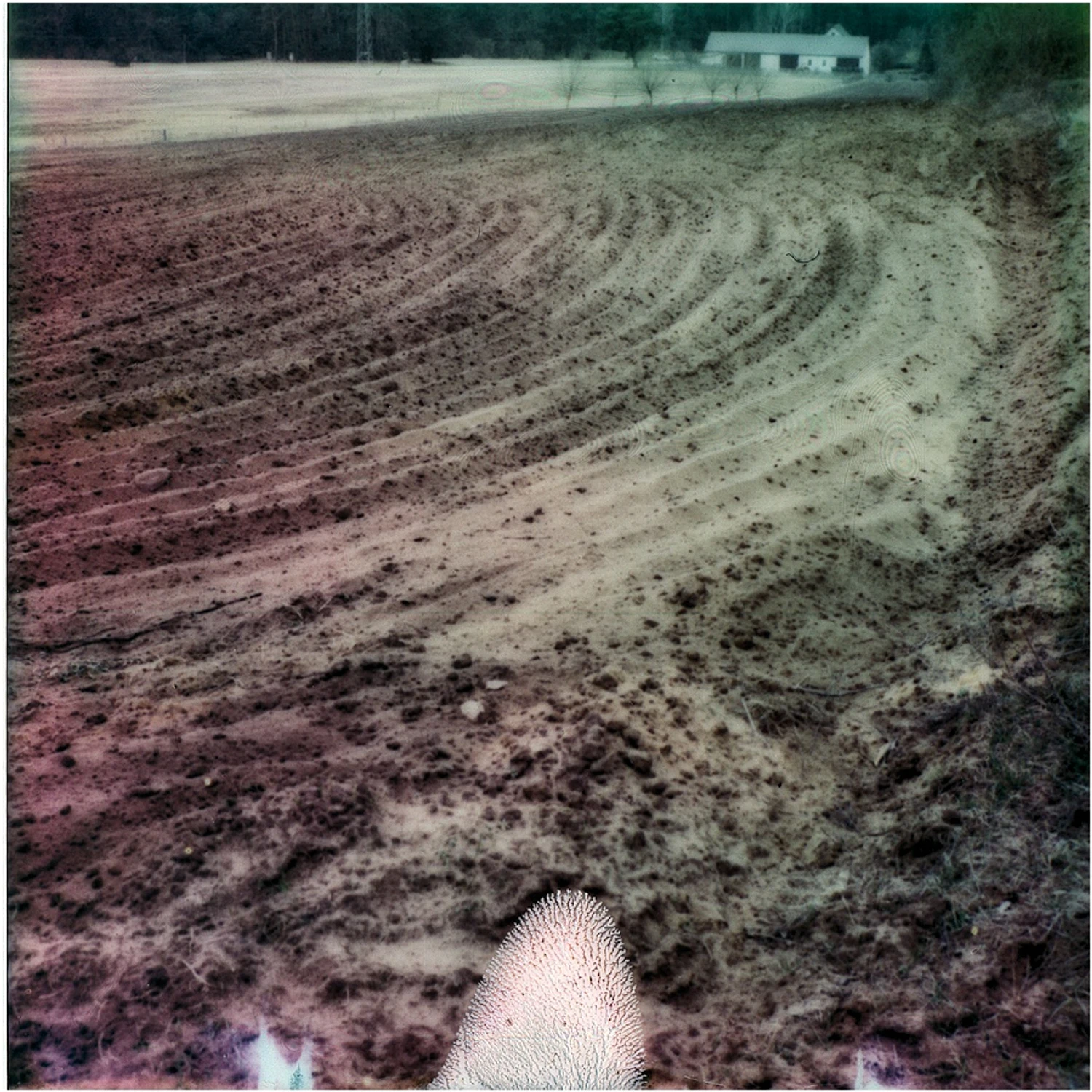 gdzieś w kieleckiem