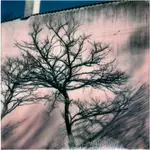 z cyklu: subiektywne spacery powarszawskie