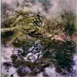 wiosna w "Skaryszaku"