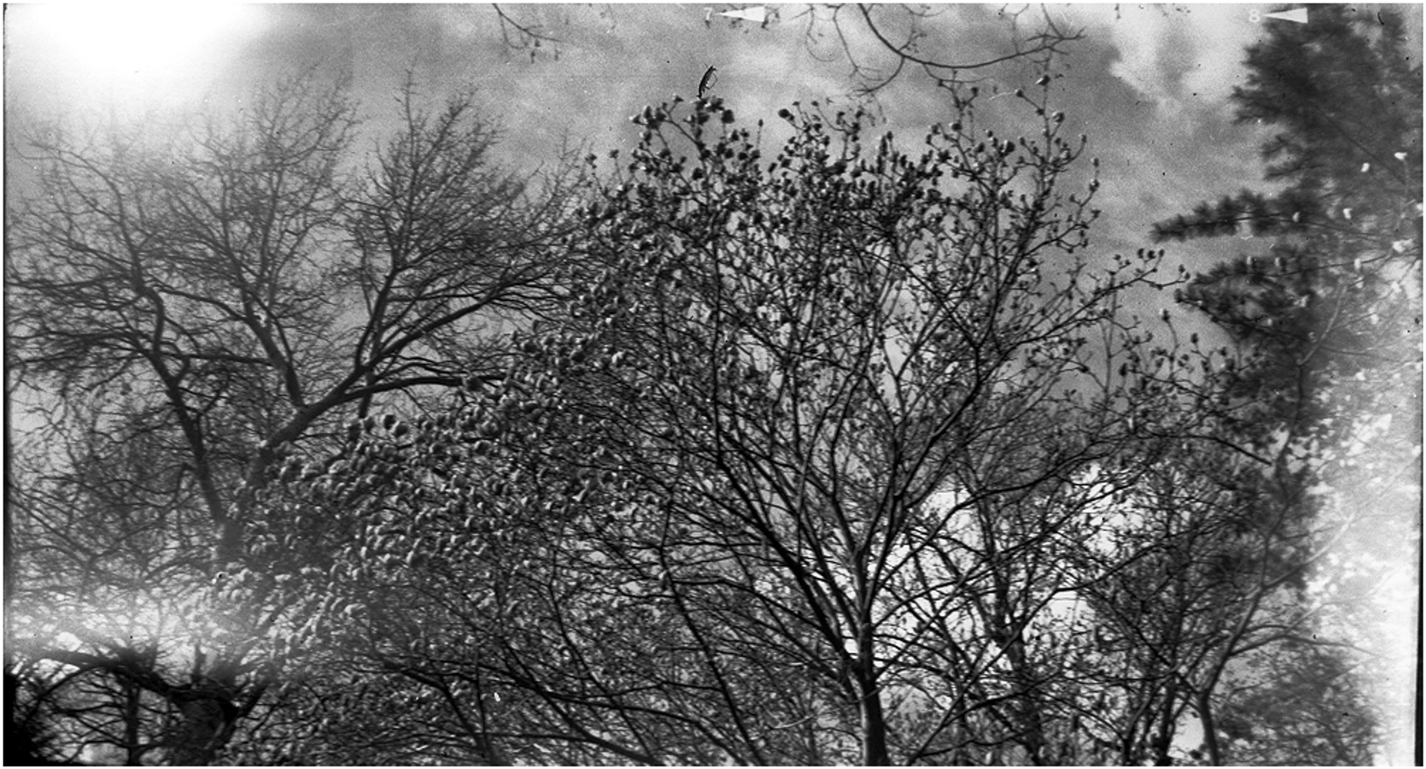 z cyklu: subiektywne spacery powarszawskie