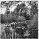 wiosna w "Skaryszaku"