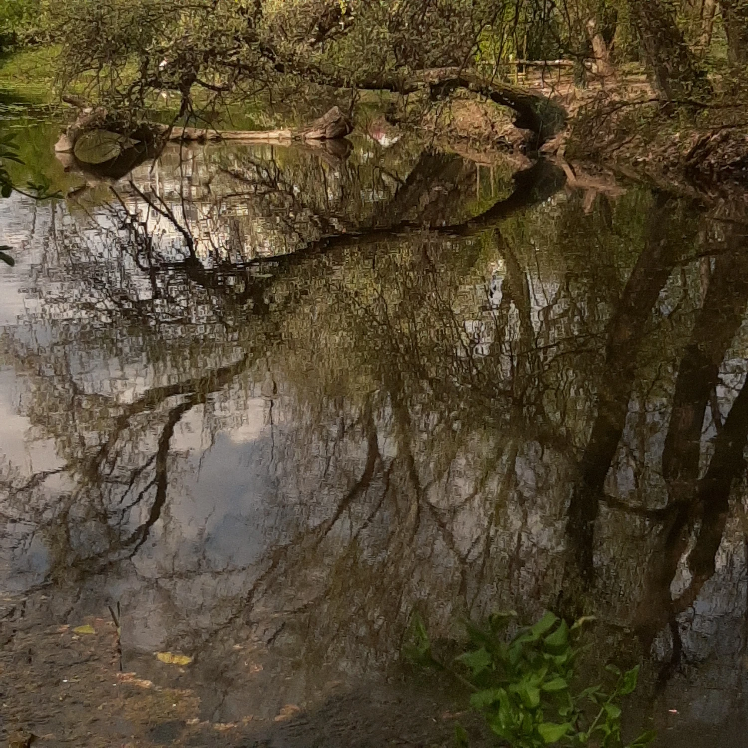 wiosna w "Skaryszaku"