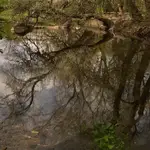 wiosna w "Skaryszaku"