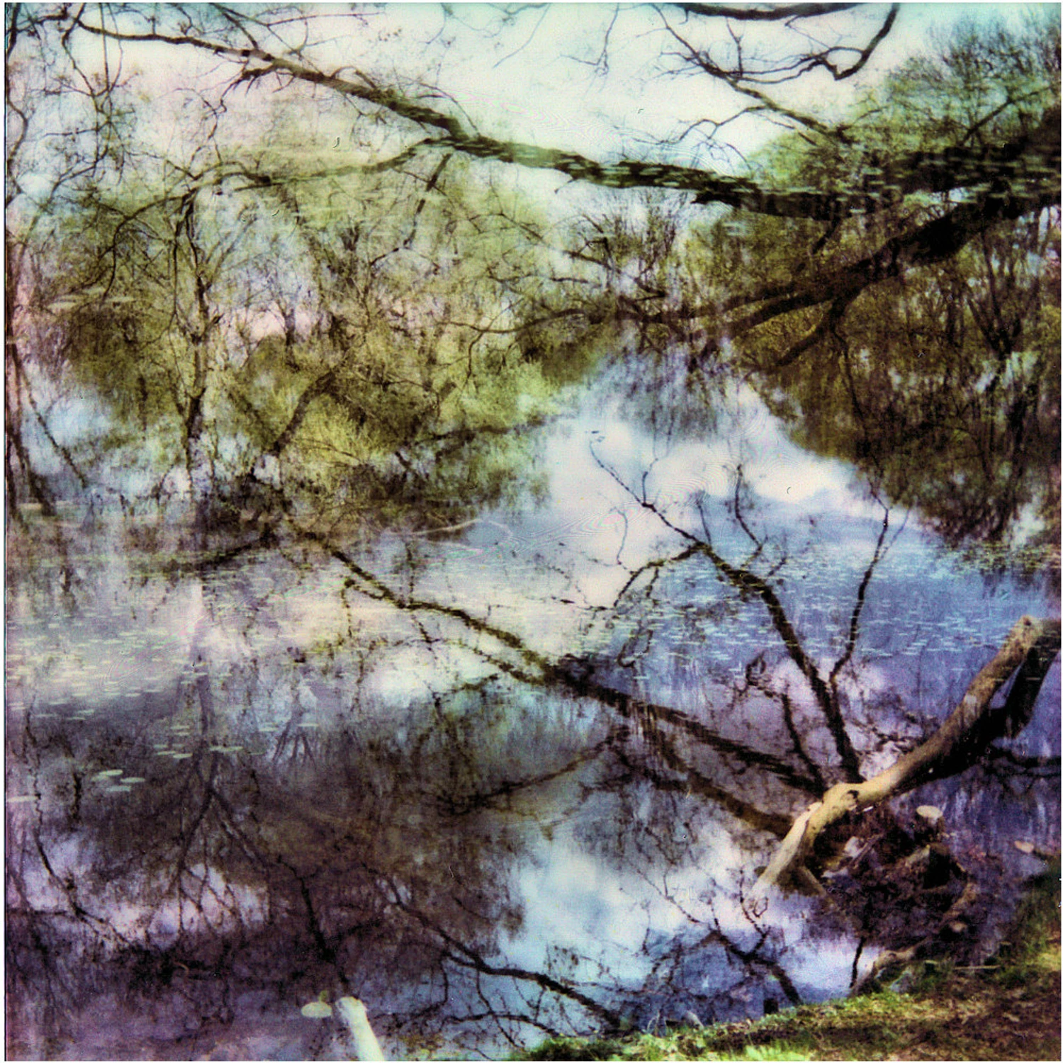 wiosna w "Skaryszaku"