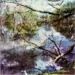 wiosna w "Skaryszaku"