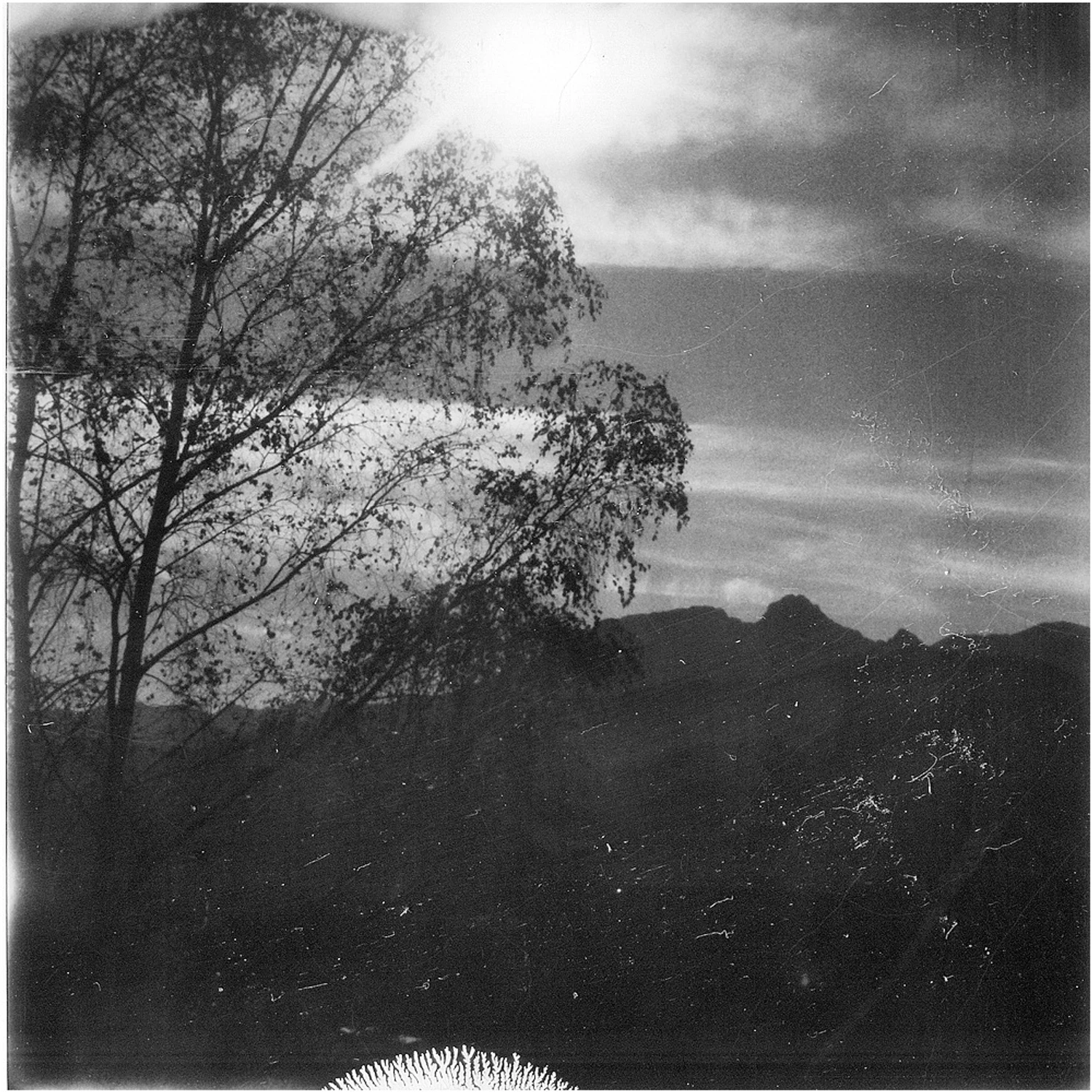 "natychmiastowy Giewont"