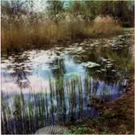 wiosna w "Skaryszaku"