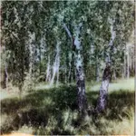 widoki wokółecegowskie (5)
