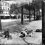 paryski "street creative" z przełomu XIX i XX wieku...