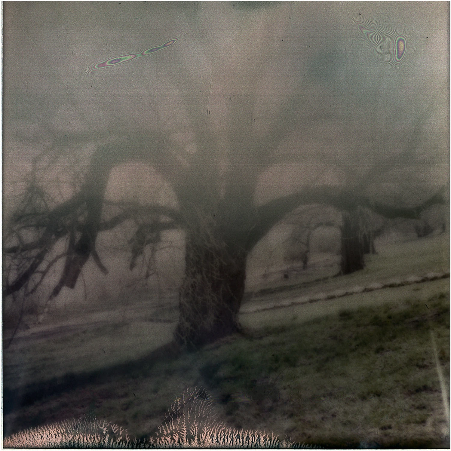 może to już wiosna?