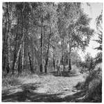 widoki wokółecegowskie (4)