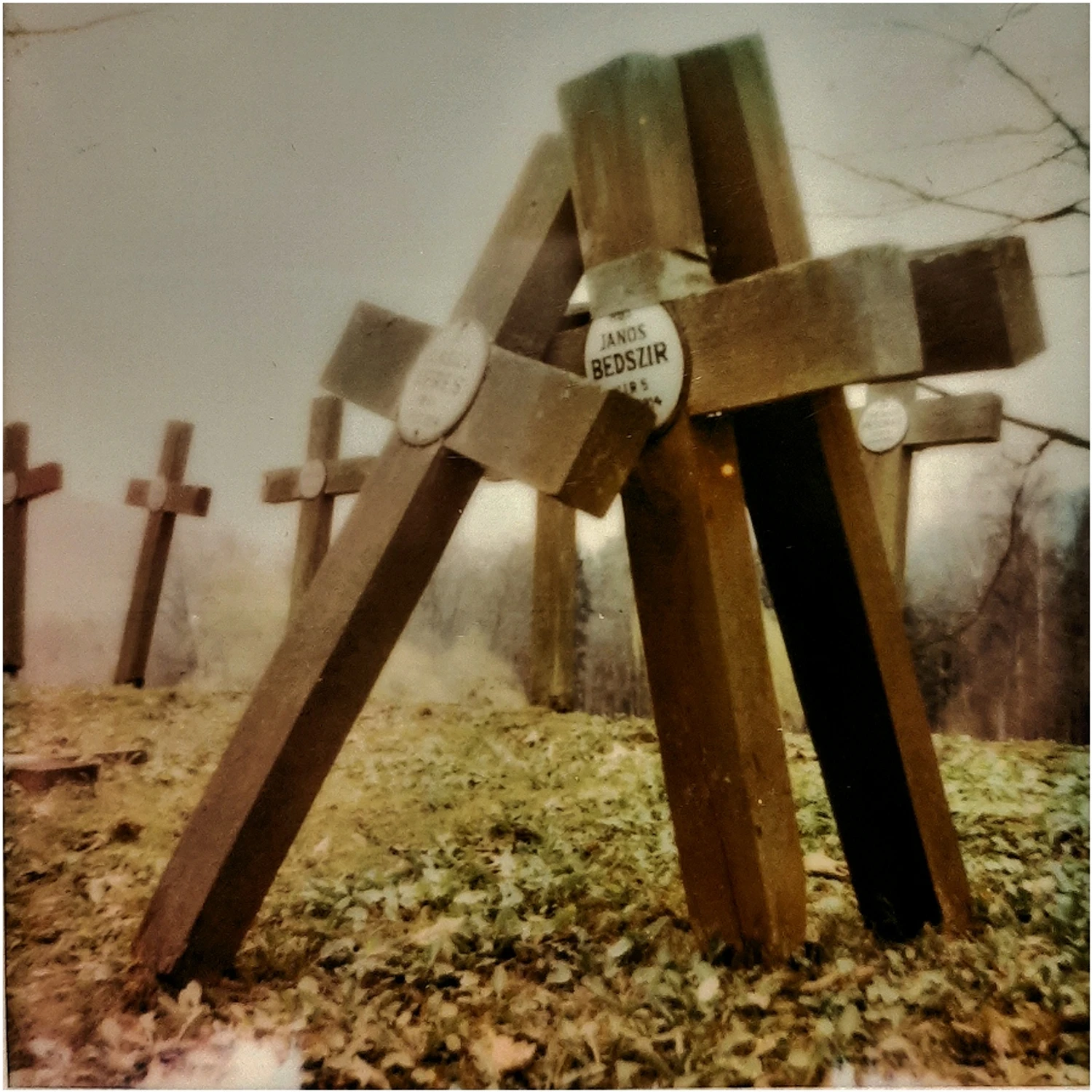 brother in arms (no. I)