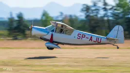 RWD - 5