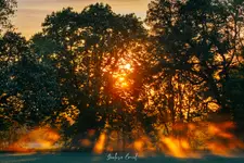 Promienie końca dnia