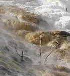 Mammoth Hot Springs 