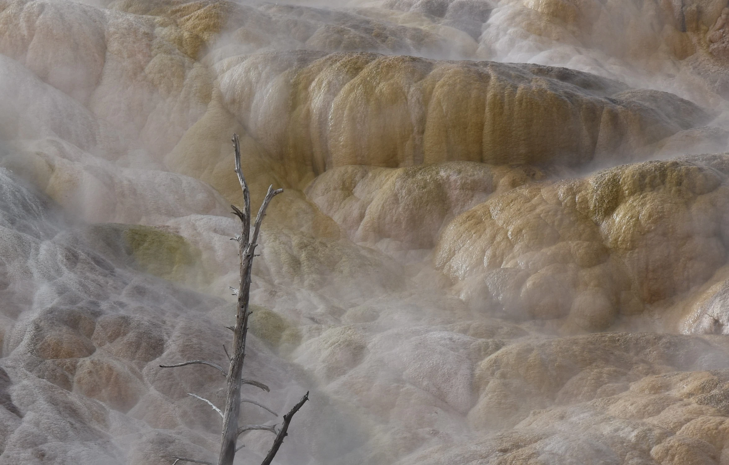 zaginiony świat Yellowstone