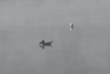 szaro za oknem...