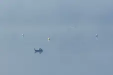 na łowisku...