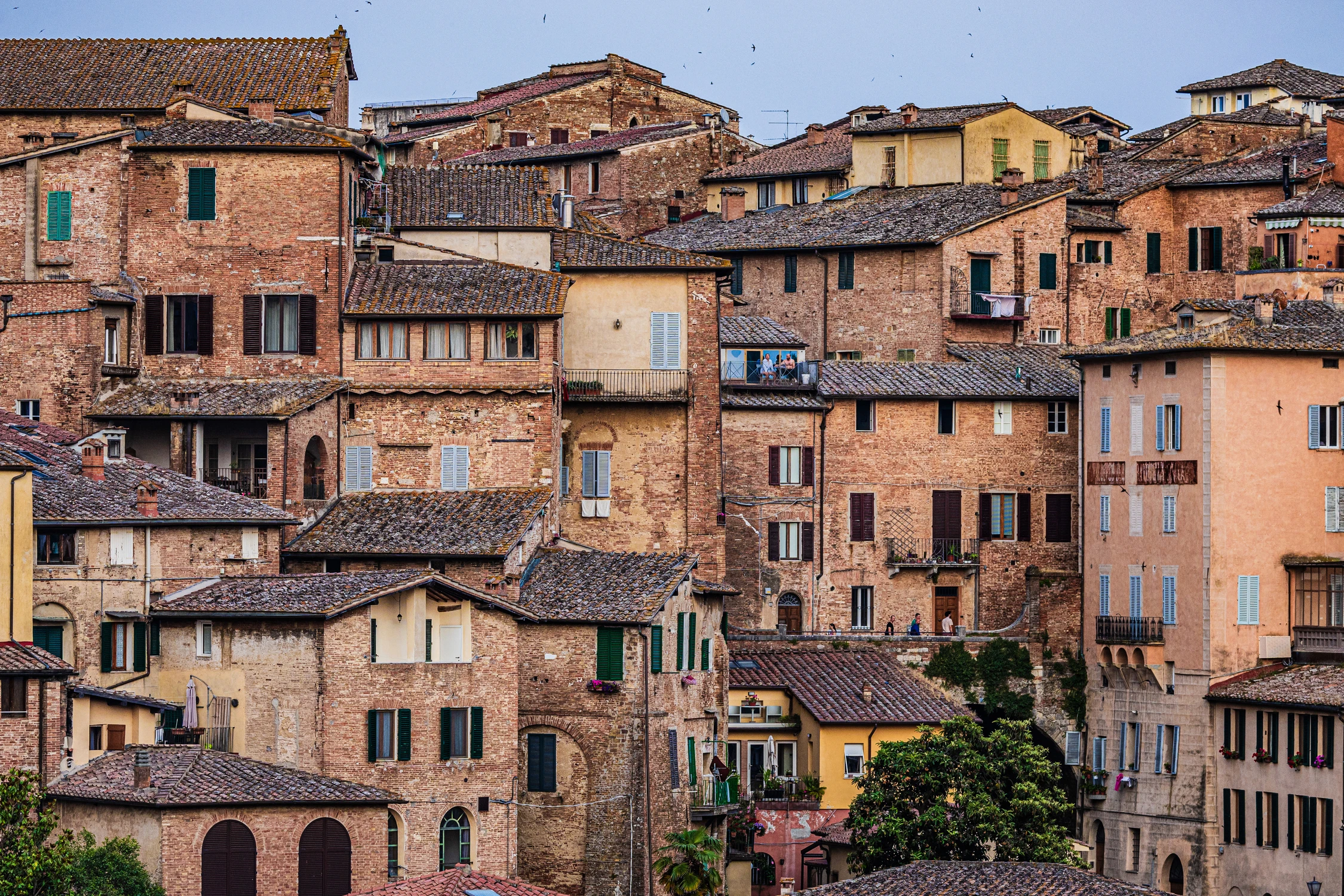 Tak się żyje w Sienie