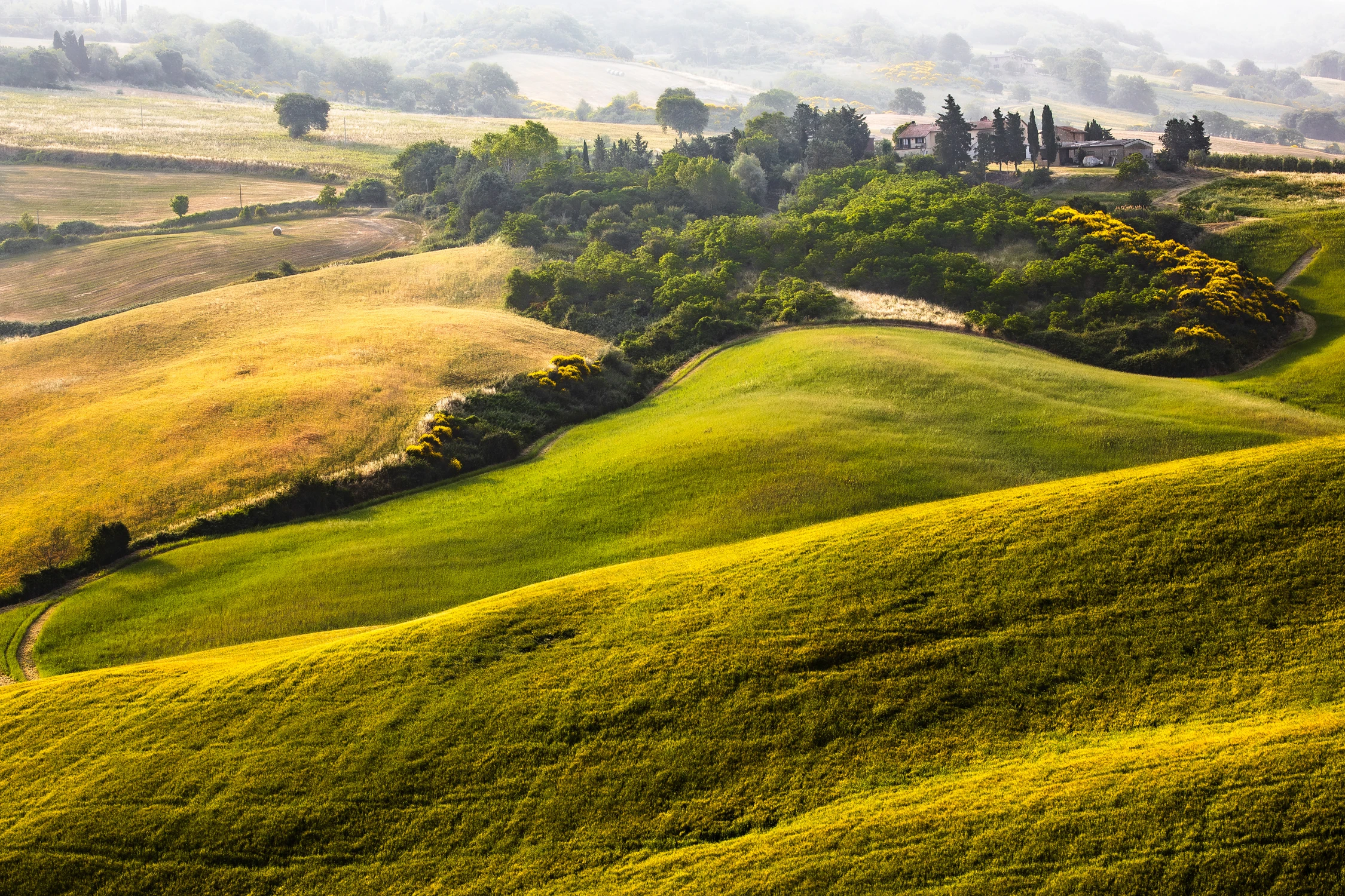 O     O     III    O