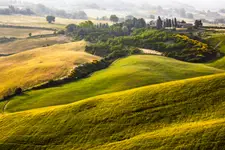 O     O     III    O