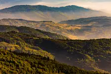 Area Naturale Protetta di-Interesse Locale Foresta di_Sant'Antonio
