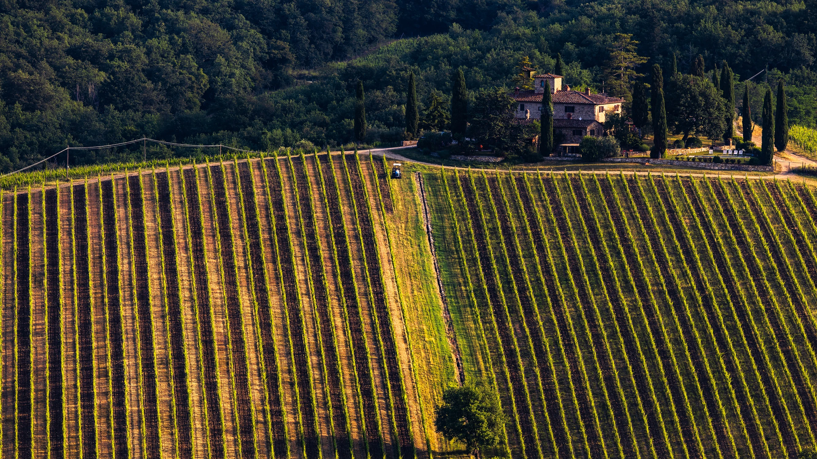 Traktor, drzewo i czerwony hydrant