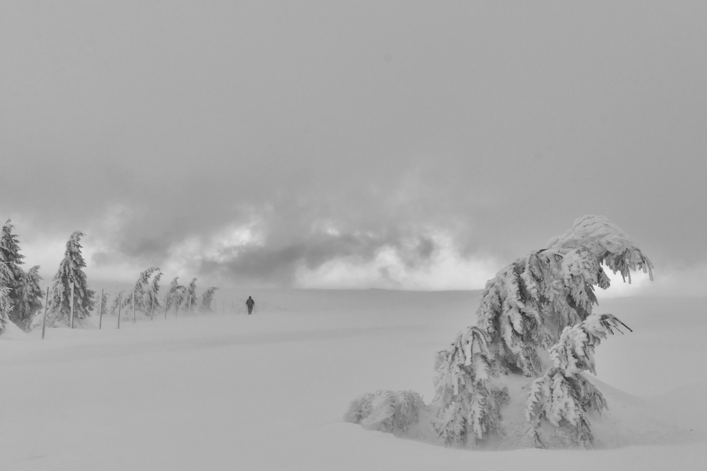 Dalej nie ma już nic