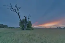 ORZEŁ STARTUJE
