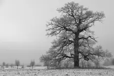 Kiedyś też będziecie duzi