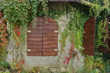 W BARWACH JESIENI